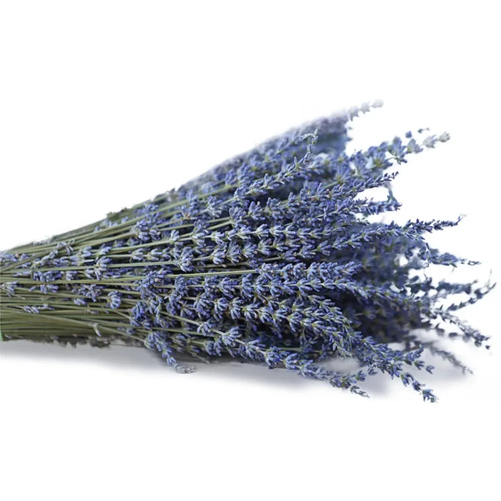 Bouquet de Pampa Colorée Mariage