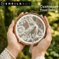 Porte alliance blanc perles et fleurs