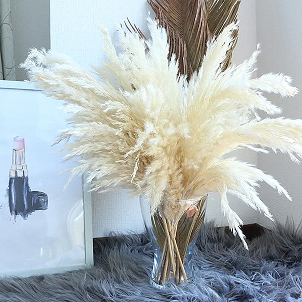 Plumes de Pampa Séchées Mariage — vue 3