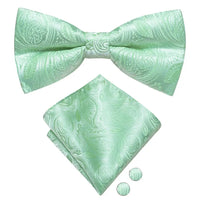 Coffret nœud papillon mariage homme vert — vue 5