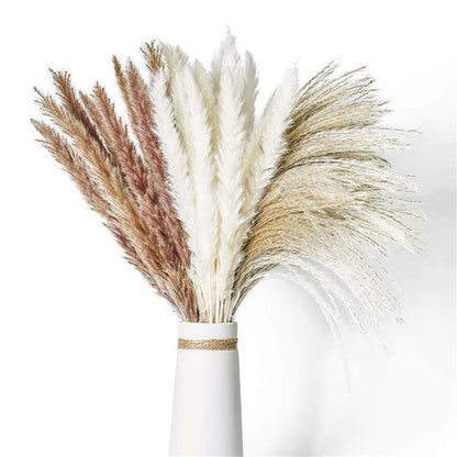 Grand Bouquet de Pampa Séchée Mariage — vue 8
