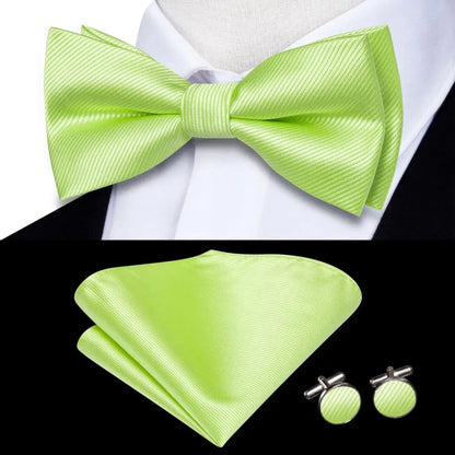 Coffret nœud papillon mariage homme vert