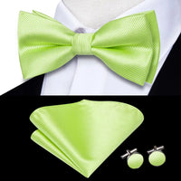 Coffret nœud papillon mariage homme vert — Motif 17