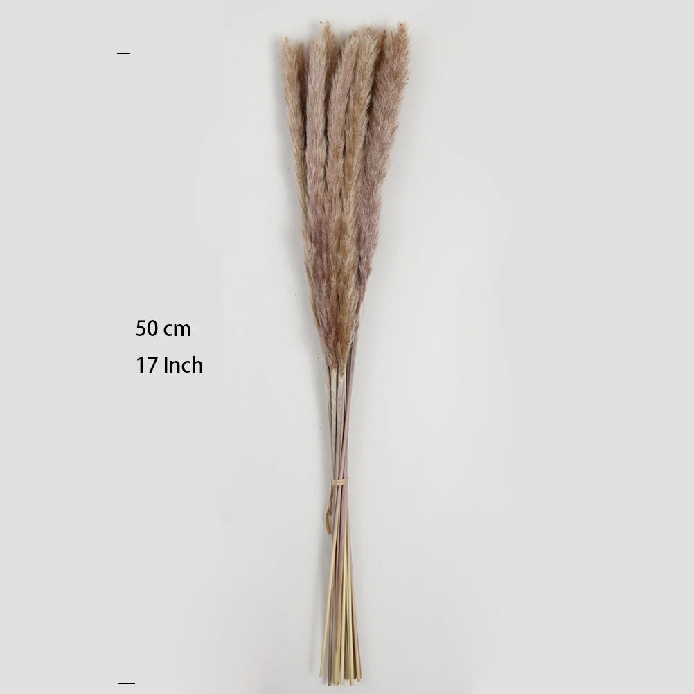 Bouquet de Pampa Séchée Mariage — vue 8