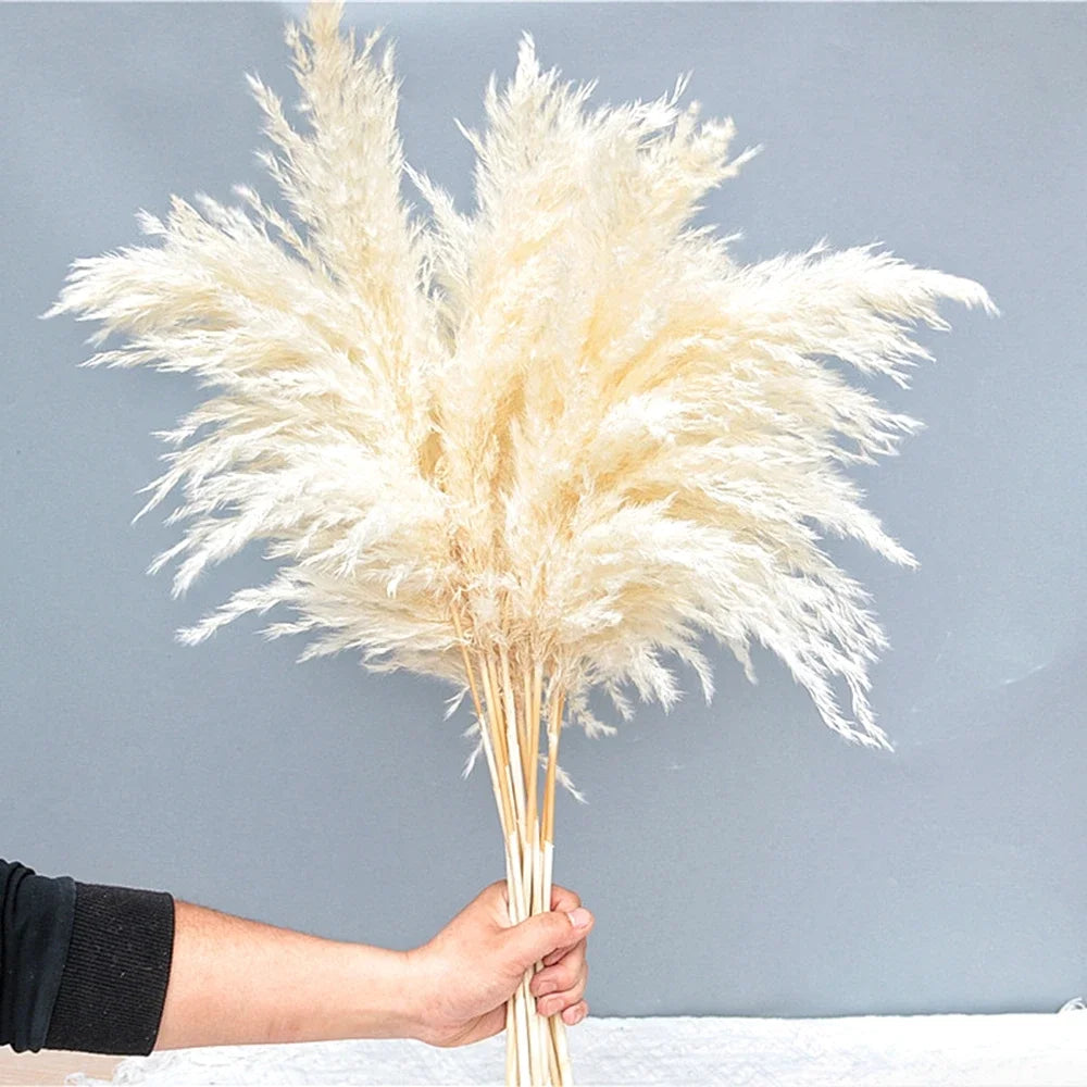 Plumes de Pampa Séchées Mariage — vue 7