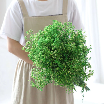 Bouquet de Gypsophile Fleurs Séchées Mariage — vue 10