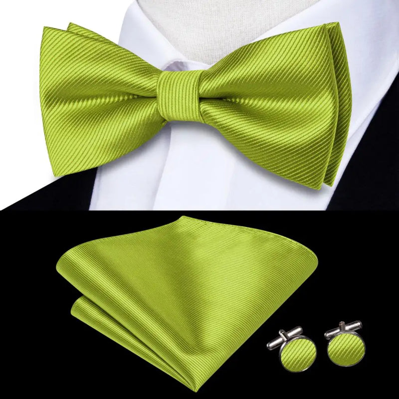 Coffret nœud papillon mariage homme vert — Motif 1