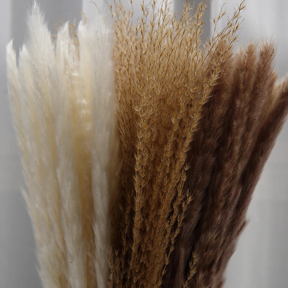 Bouquet de Pampa Séchée Mariage