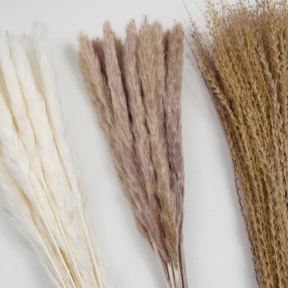 Bouquet de Pampa Séchée Mariage — vue 5