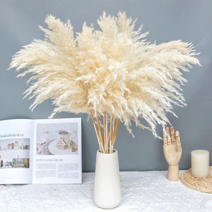 Plumes de Pampa Séchées Mariage — vue 2