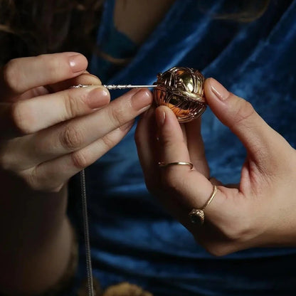 Boite vif d'or Harry Potter — vue 4