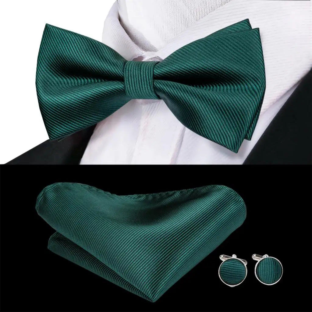Coffret nœud papillon mariage homme vert