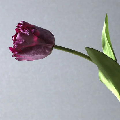 Tulipes Artificielles Toucher Réel Mariage