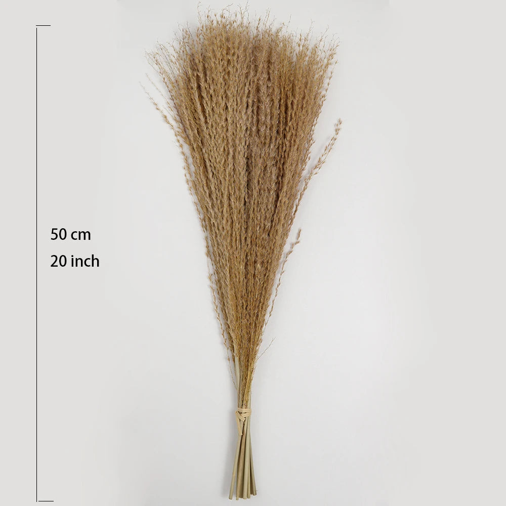 Bouquet de Pampa Séchée Mariage — vue 7