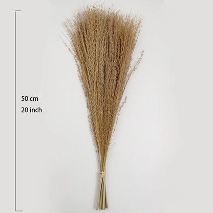 Bouquet de Pampa Séchée Mariage — vue 7