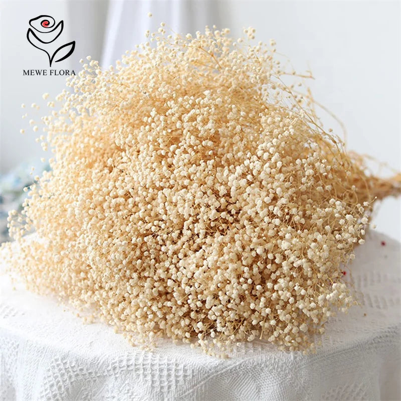 Bouquet de Gypsophile Fleurs Séchées Mariage