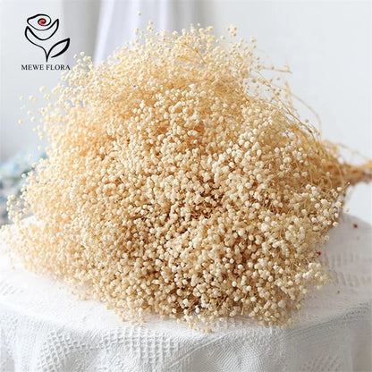 Bouquet de Gypsophile Fleurs Séchées Mariage