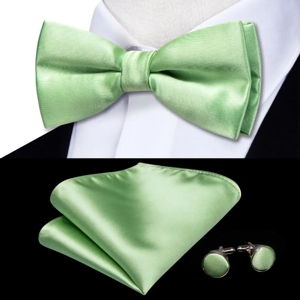 Coffret nœud papillon mariage homme vert