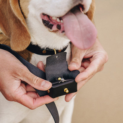 Porte alliance chien — vue 3
