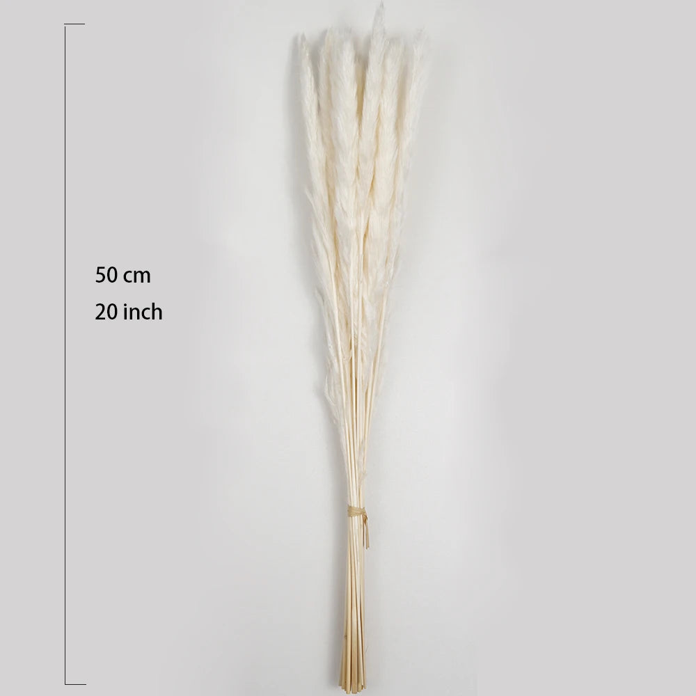 Bouquet de Pampa Séchée Mariage — vue 9