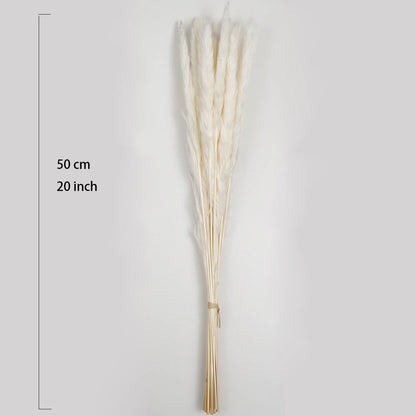 Bouquet de Pampa Séchée Mariage — vue 9