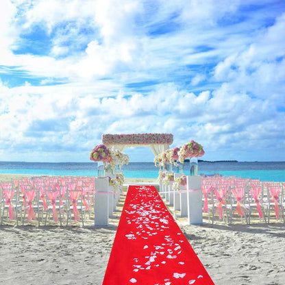 Tapis rouge mariage allée de cérémonie