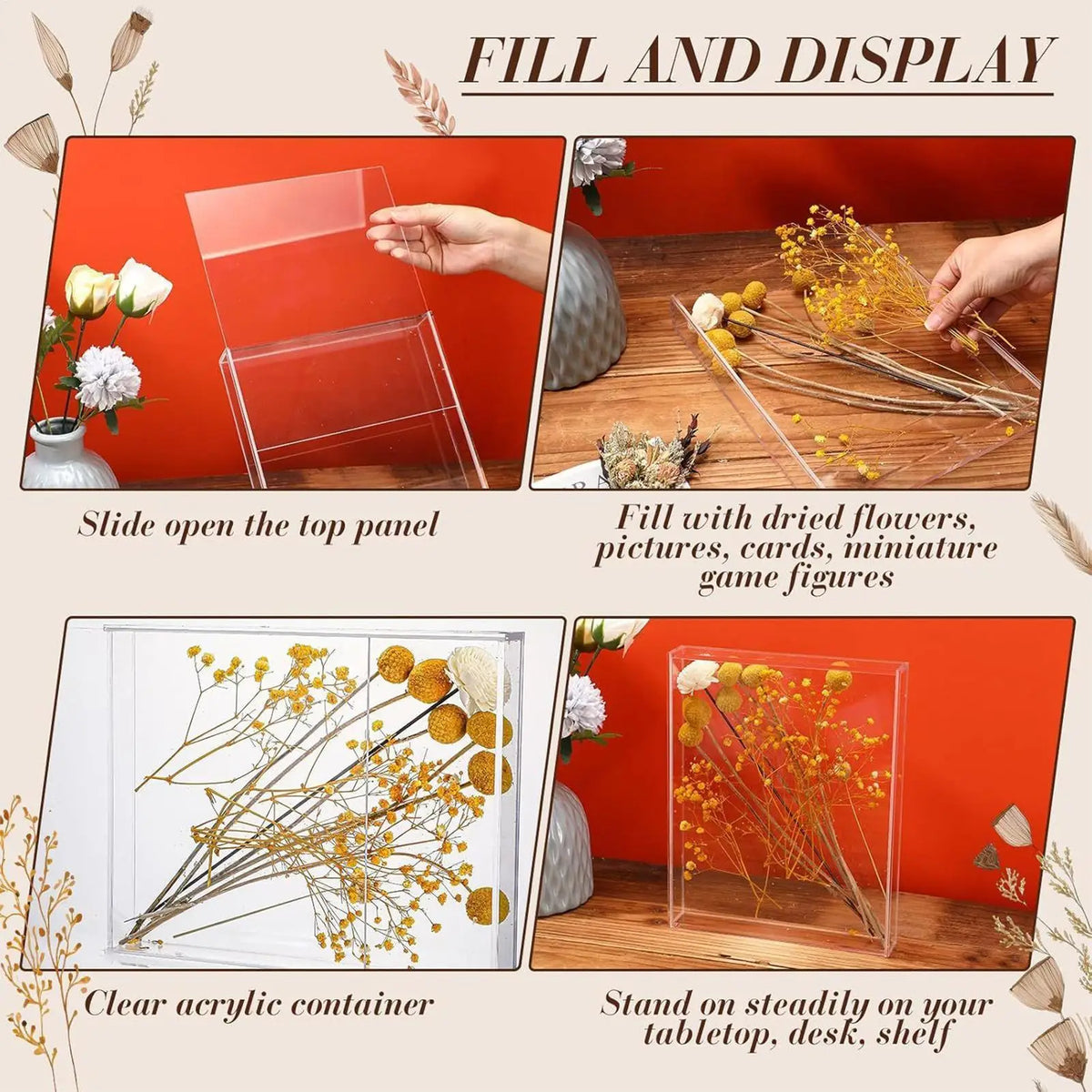 Vitrine Acrylique Souvenir Fleurs Séchées