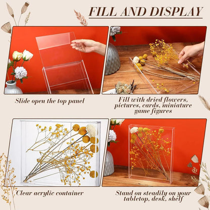 Vitrine Acrylique Souvenir Fleurs Séchées