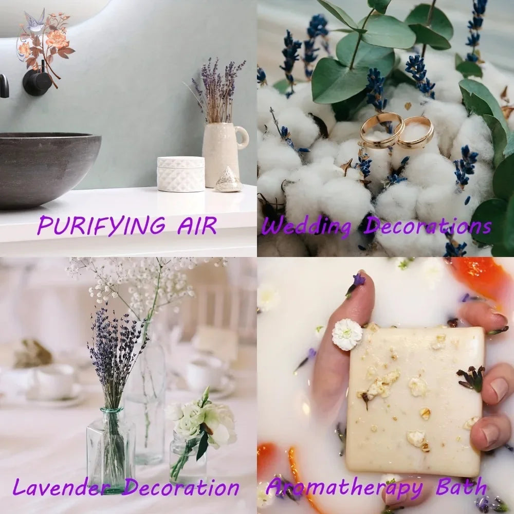Bouquet de Pampa Colorée Mariage