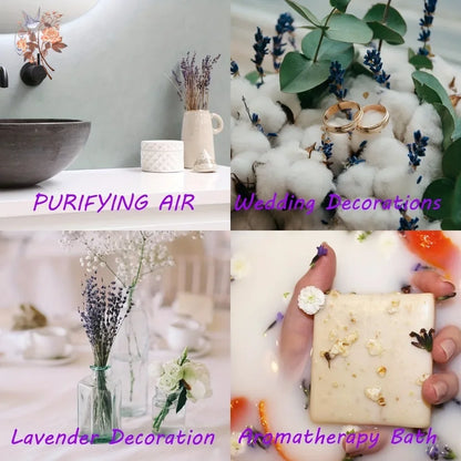 Bouquet de Pampa Colorée Mariage