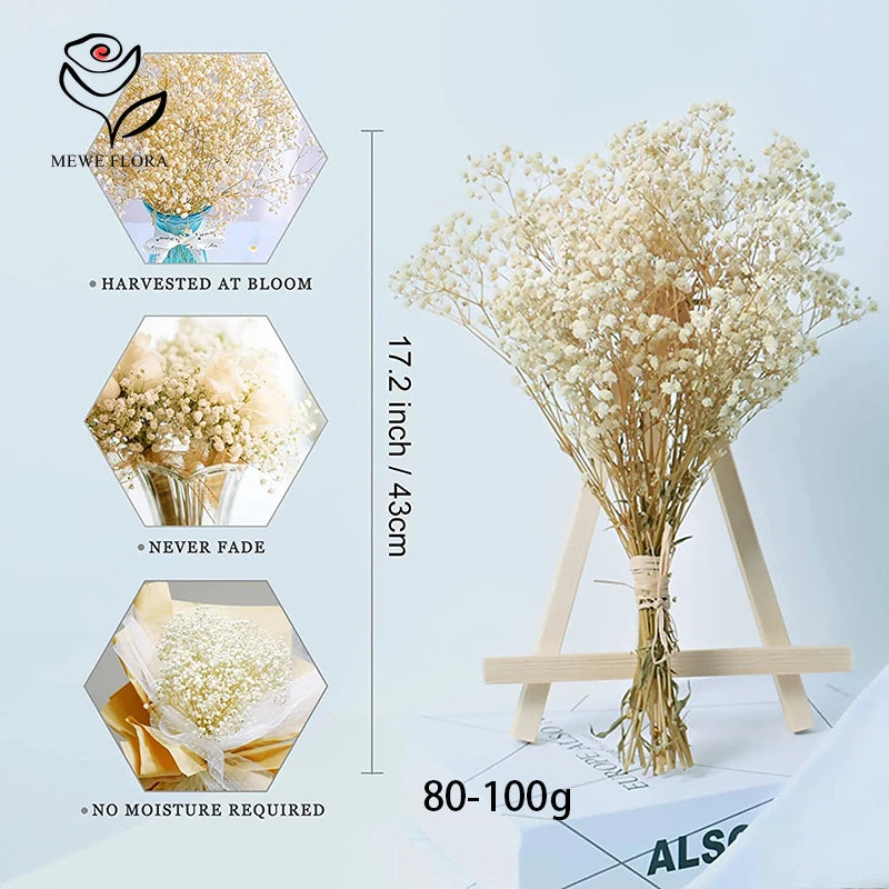 Bouquet de Gypsophile Fleurs Séchées Mariage — vue 4