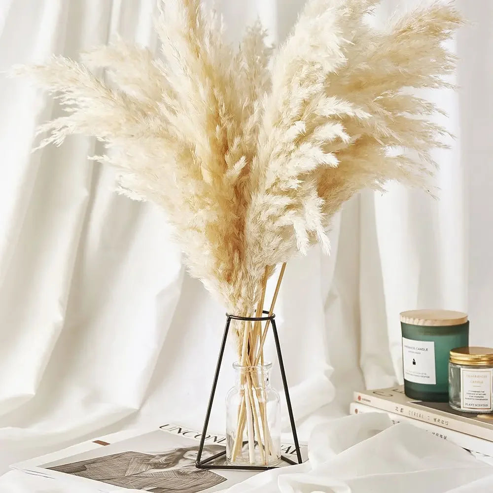 Plumes de Pampa Séchées Mariage