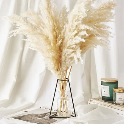 Plumes de Pampa Séchées Mariage