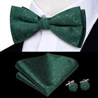 Coffret nœud papillon mariage homme vert — Motif 14