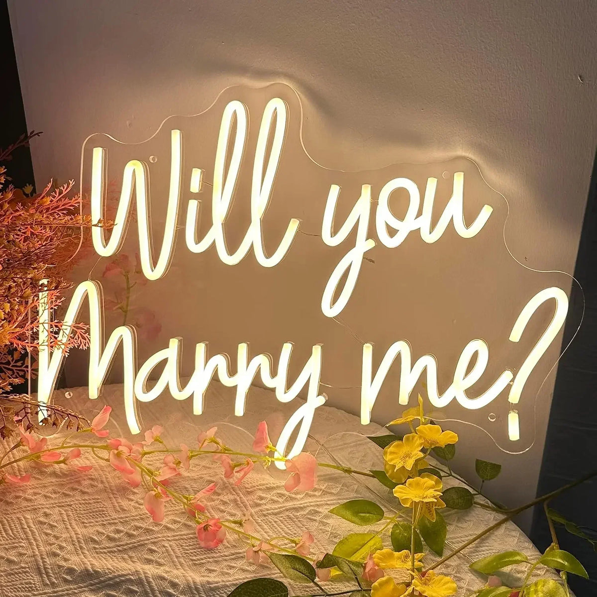 Néon LED Demande en Mariage