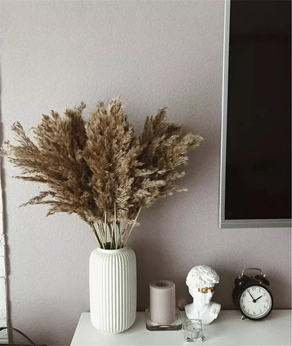 Plumes de Pampa Séchées Mariage — vue 6