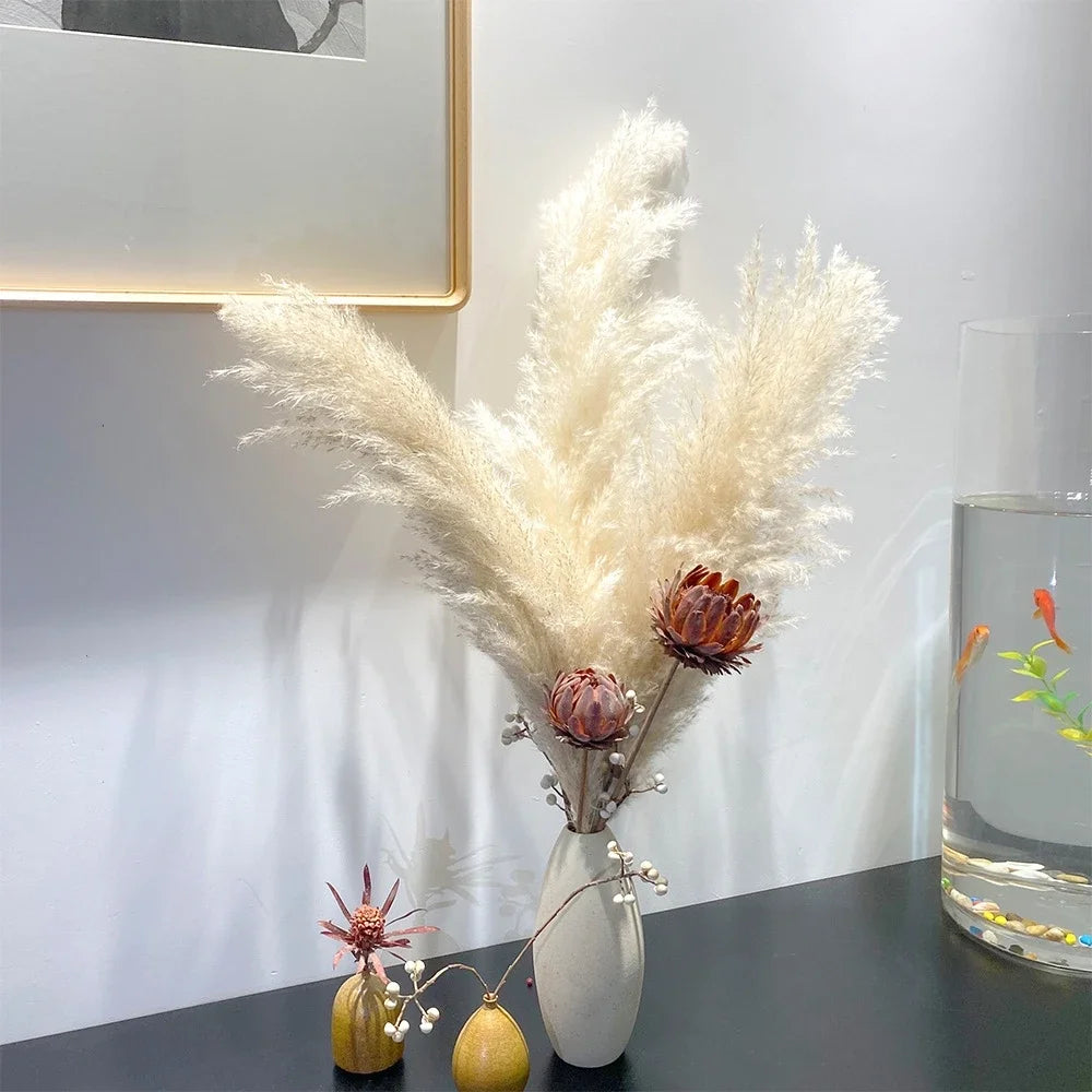 Plumes de Pampa Séchées Mariage — vue 4