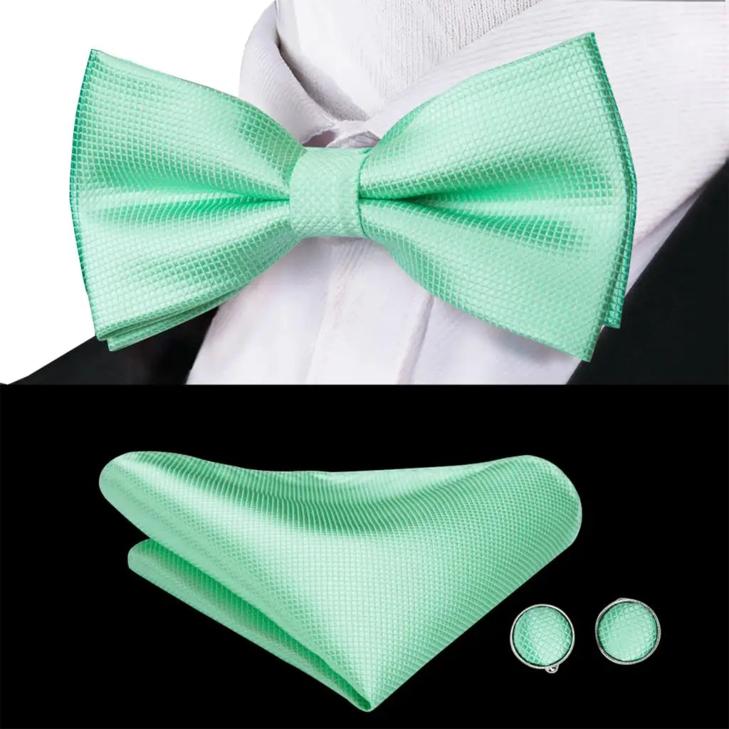 Coffret nœud papillon mariage homme vert