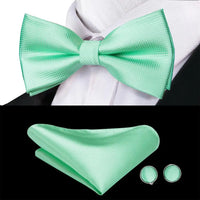 Coffret nœud papillon mariage homme vert — Motif 19
