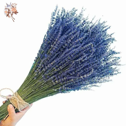 Bouquet de Pampa Colorée Mariage