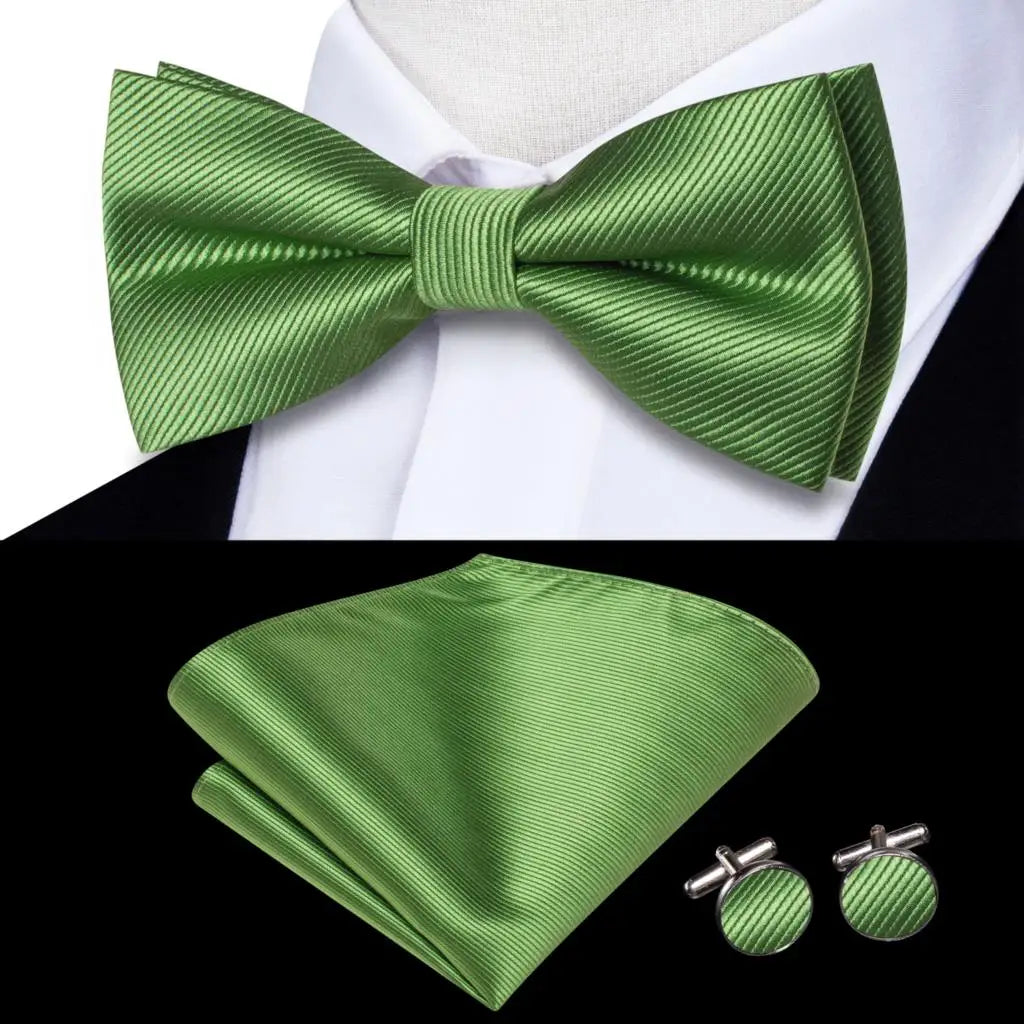 Coffret nœud papillon mariage homme vert