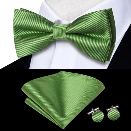 Coffret nœud papillon mariage homme vert