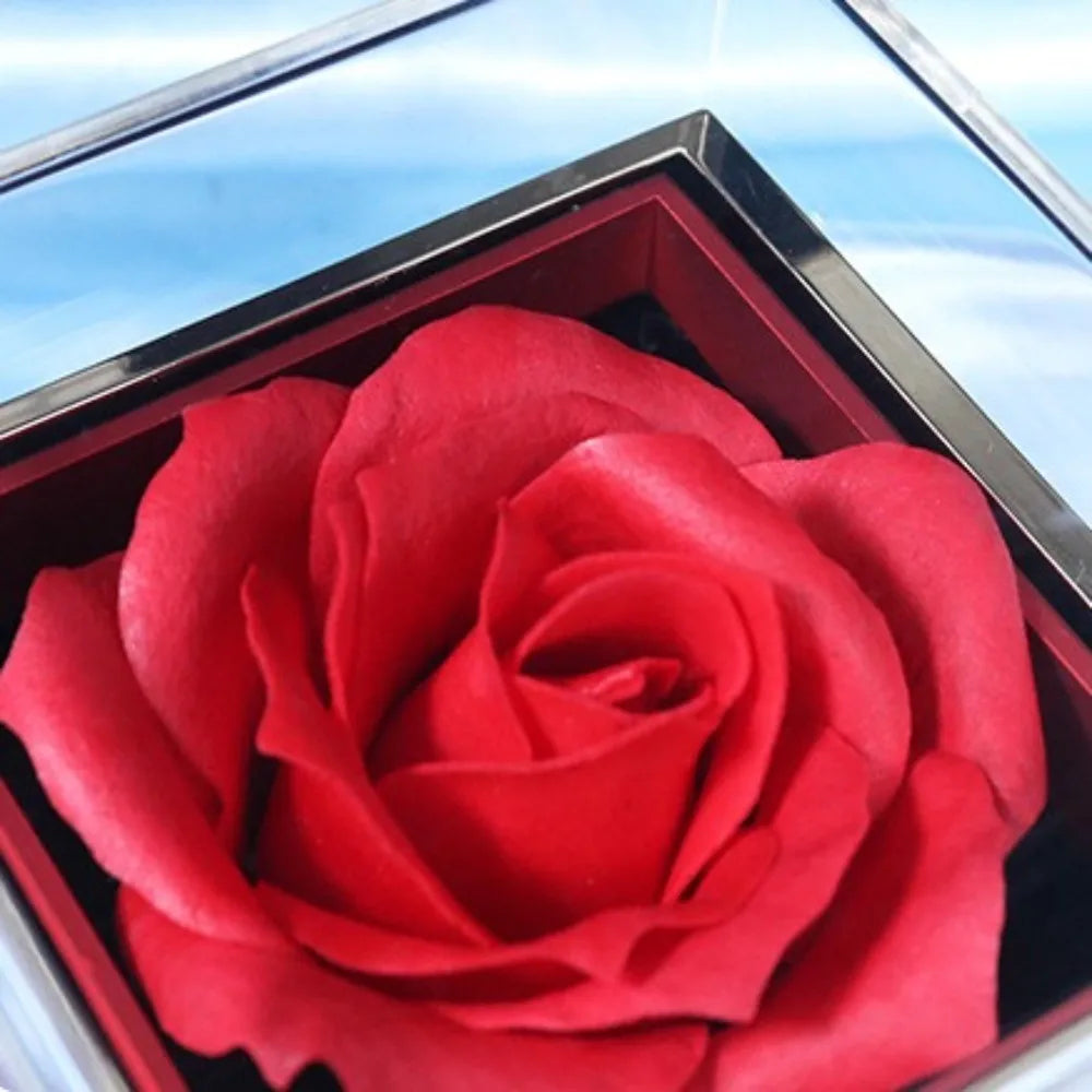 Boîte alliance rose rotative — vue 3