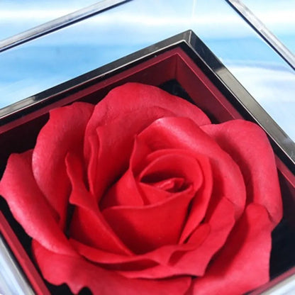 Boîte alliance rose rotative — vue 3