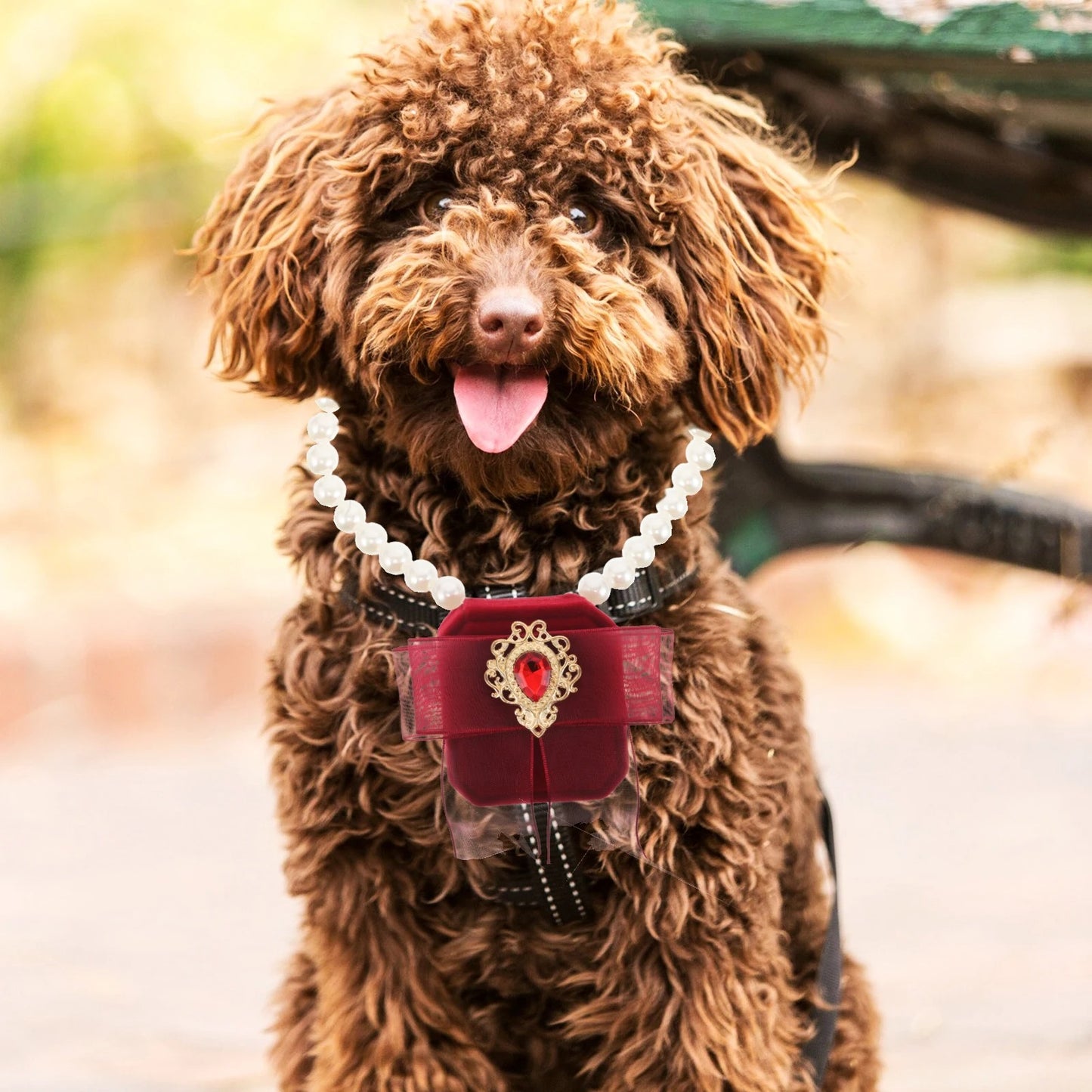 Porte alliance chien rouge